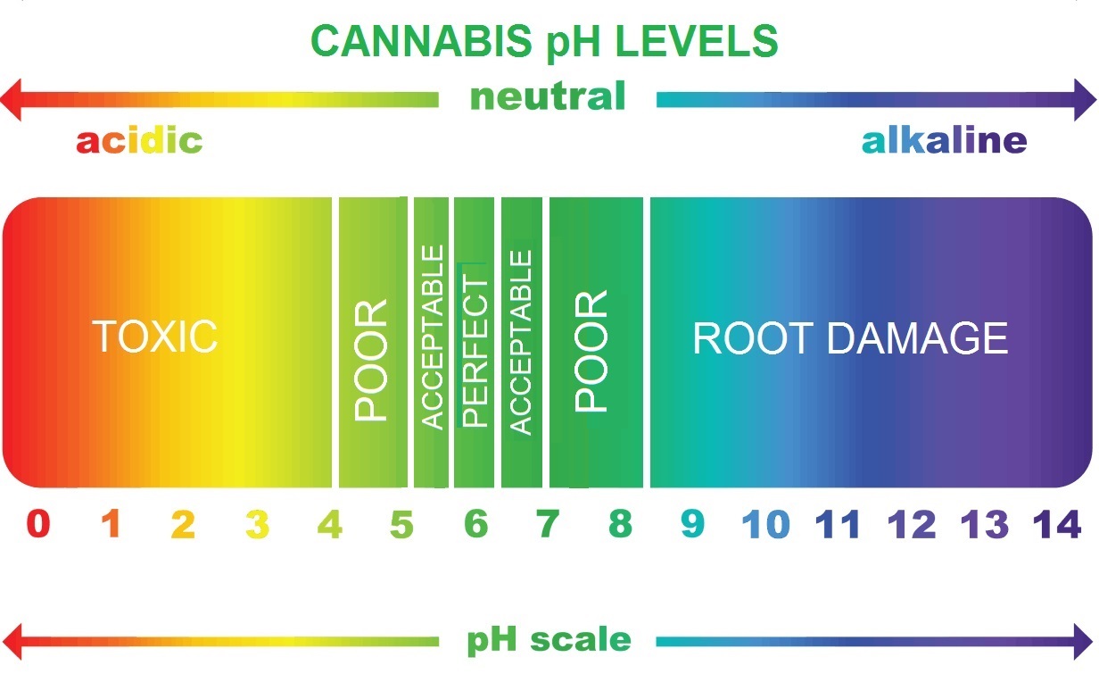 Cannabis Ph Nutrient Uptake Chart