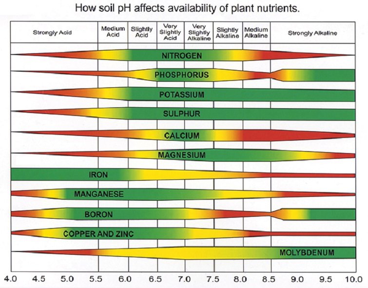 Image of NPK ratio chart