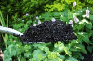 Compost