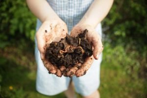 Earth Worm Castings